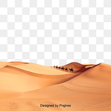 8 رقم مجموعة الصور