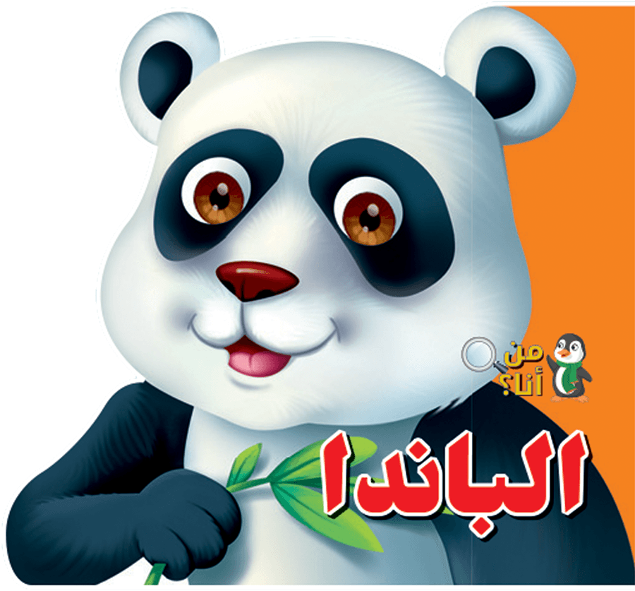 11 رقم مجموعة الصور