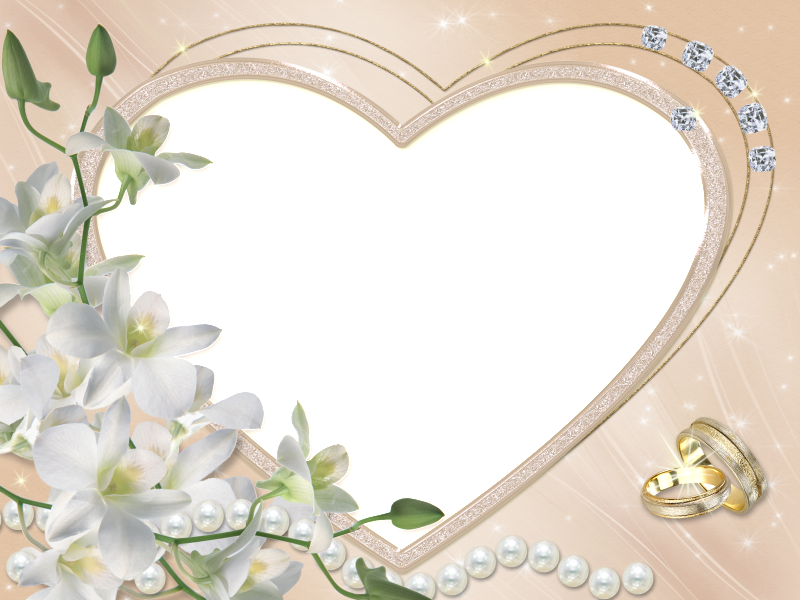 15 رقم مجموعة الصور
