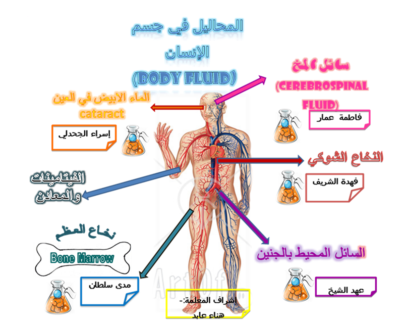 8 رقم مجموعة الصور