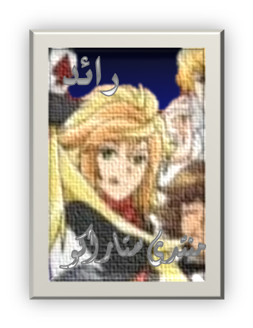 13 رقم مجموعة الصور