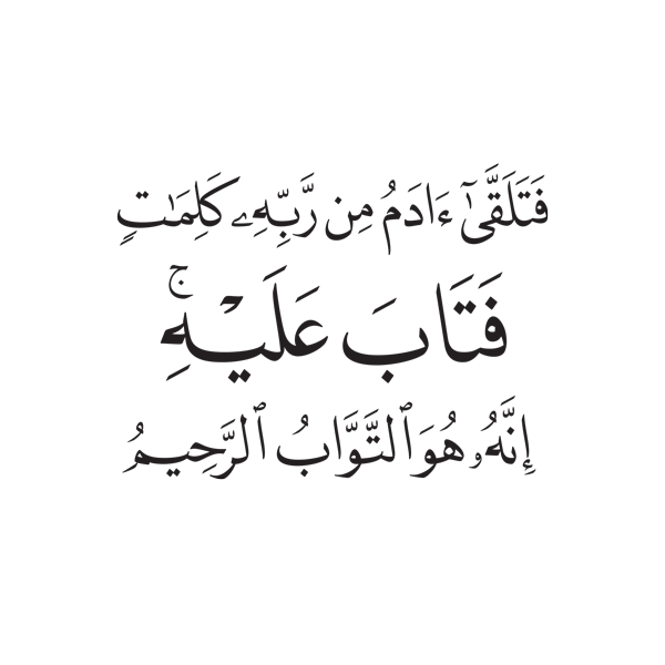 14 رقم مجموعة الصور