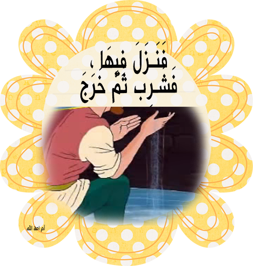 9 رقم مجموعة الصور