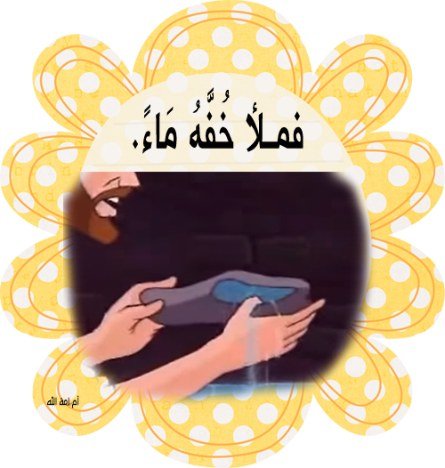 12 رقم مجموعة الصور