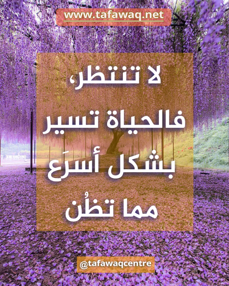 3 رقم مجموعة الصور