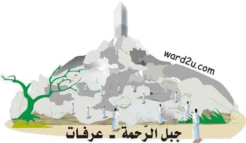 10 رقم مجموعة الصور