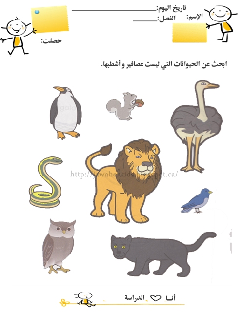9 رقم مجموعة الصور