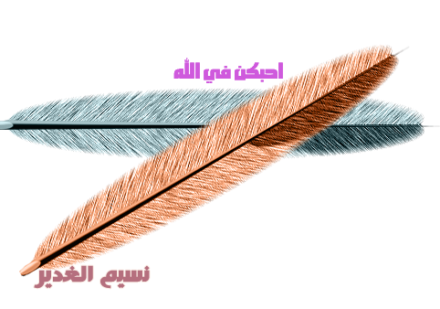 10 رقم مجموعة الصور