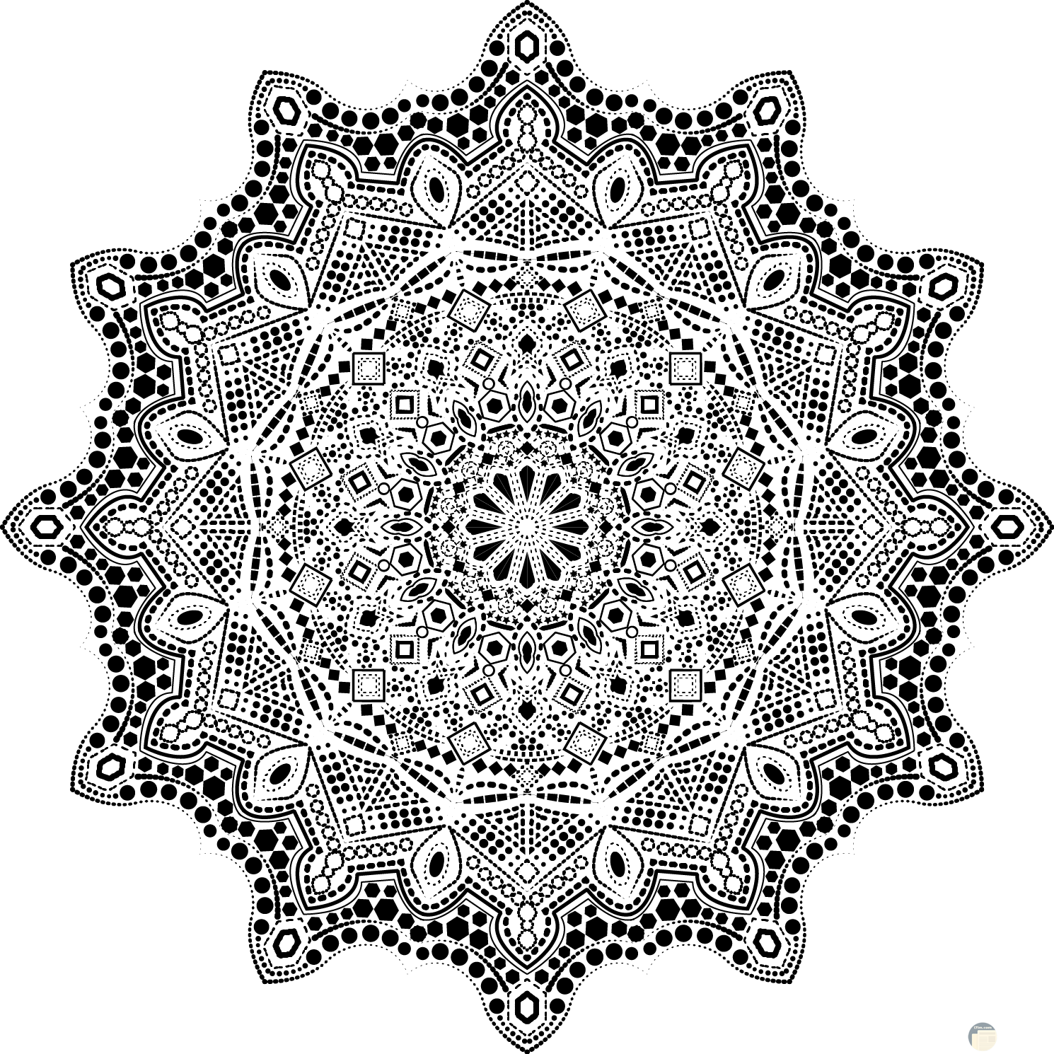 10 رقم مجموعة الصور