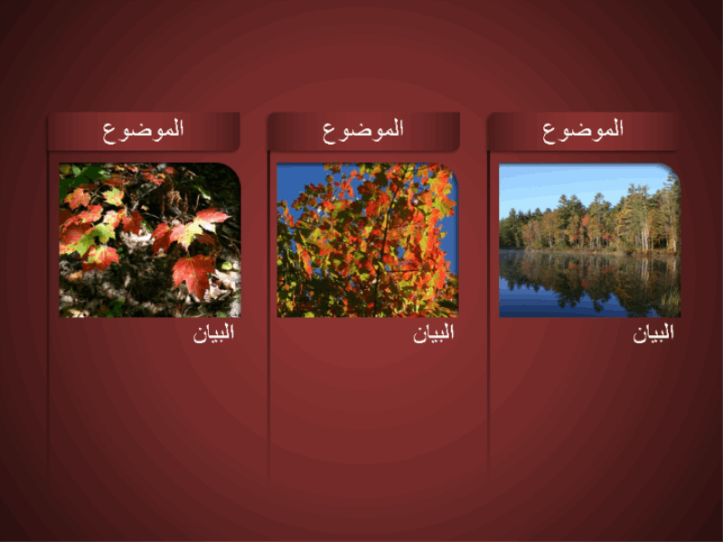 8 رقم مجموعة الصور