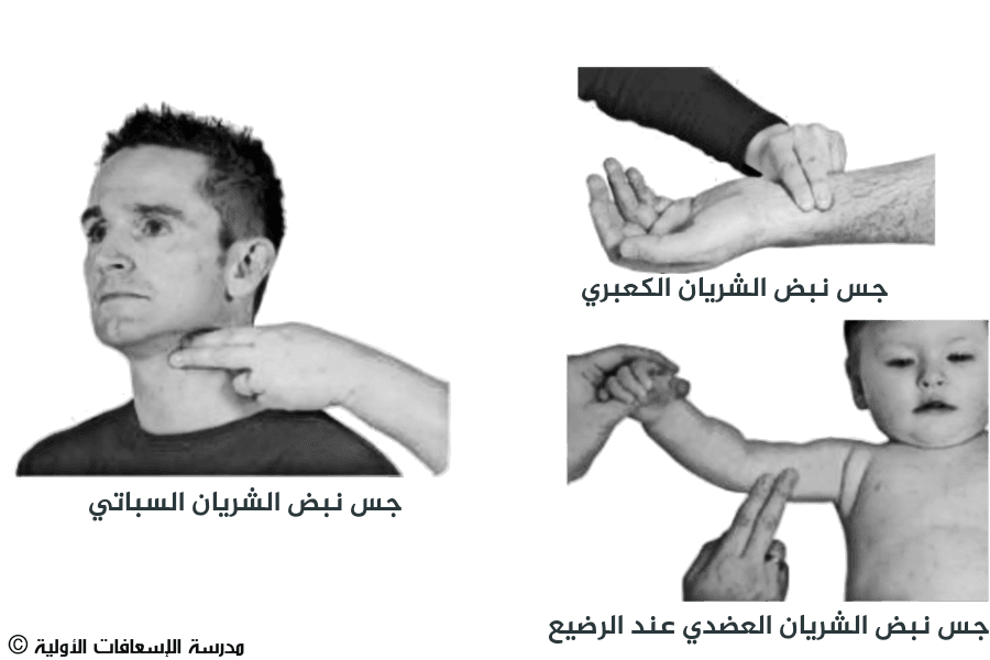9 رقم مجموعة الصور