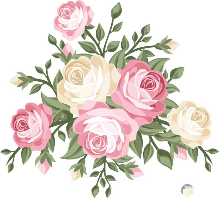 رسم وردة بالرصاص - KibrisPDR