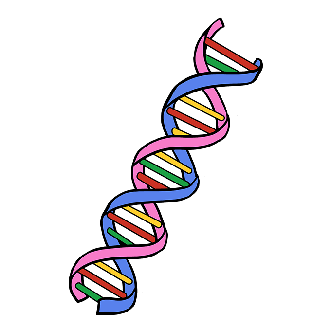 رسمة Dna - KibrisPDR