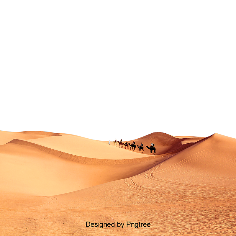 4 رقم مجموعة الصور