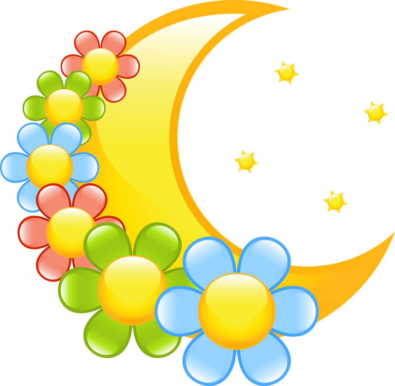 8 رقم مجموعة الصور