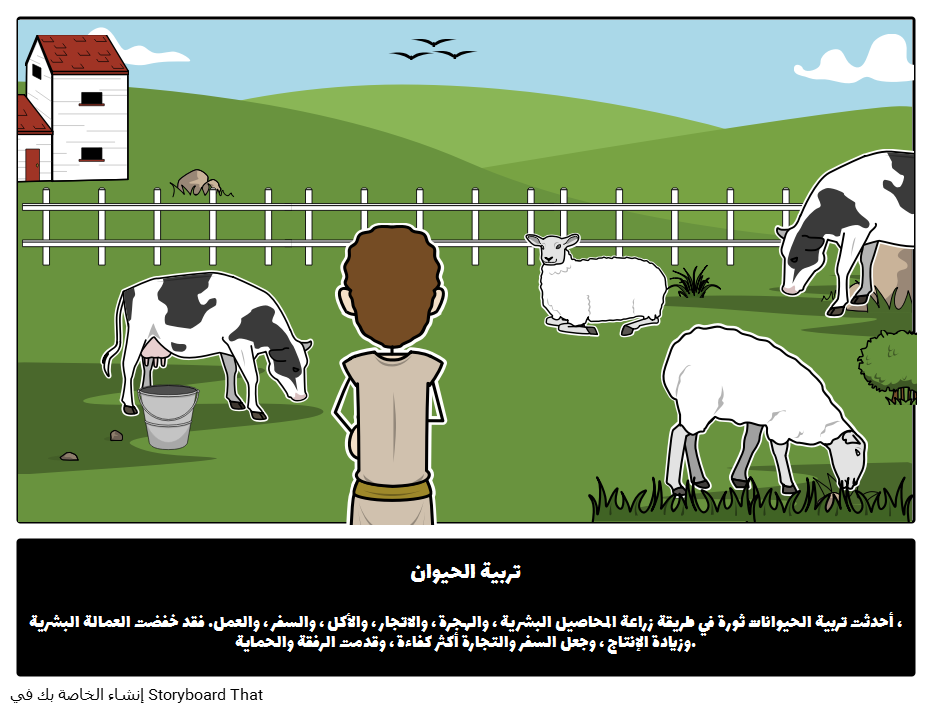 11 رقم مجموعة الصور