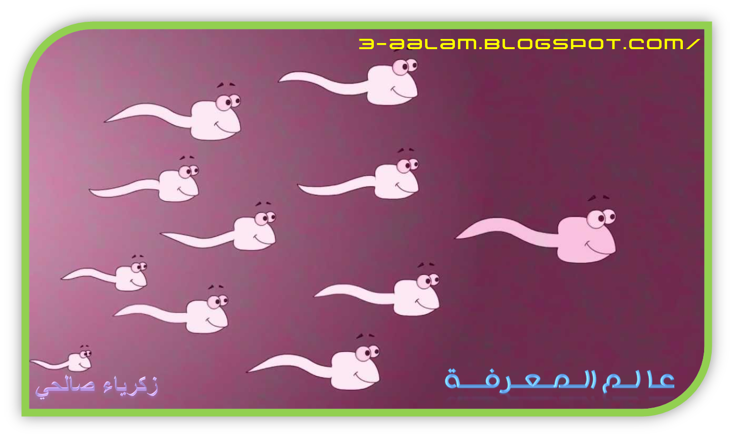 13 رقم مجموعة الصور
