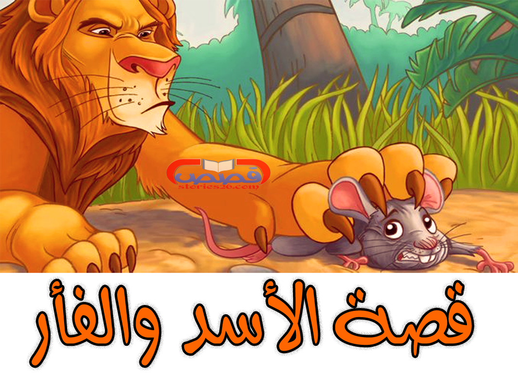 11 رقم مجموعة الصور
