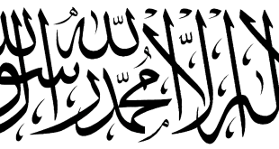4 رقم مجموعة الصور