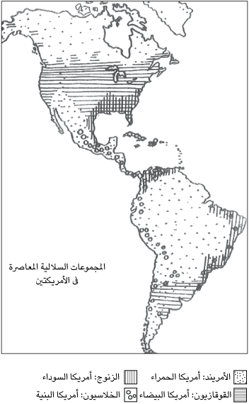 3 رقم مجموعة الصور