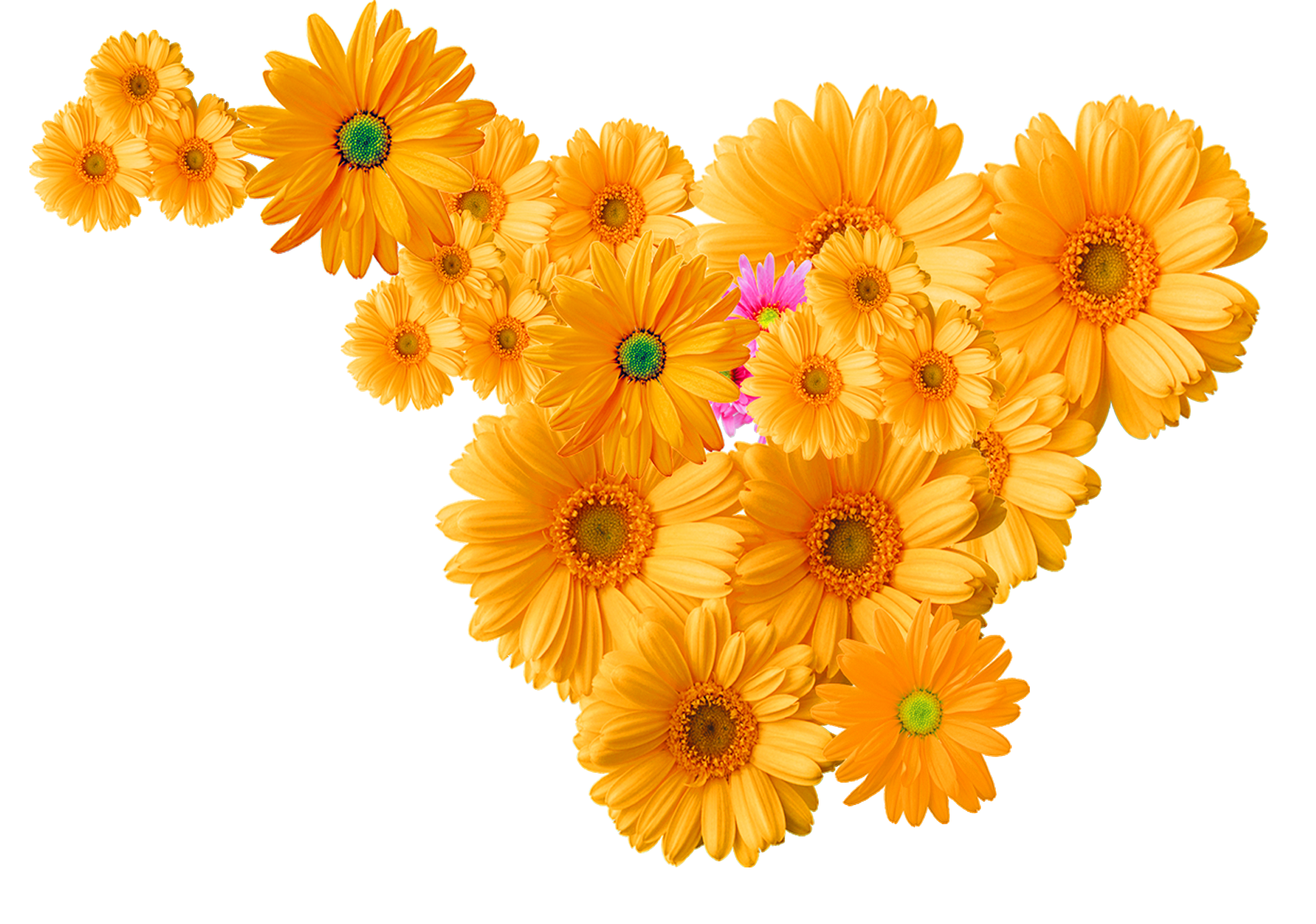 13 رقم مجموعة الصور