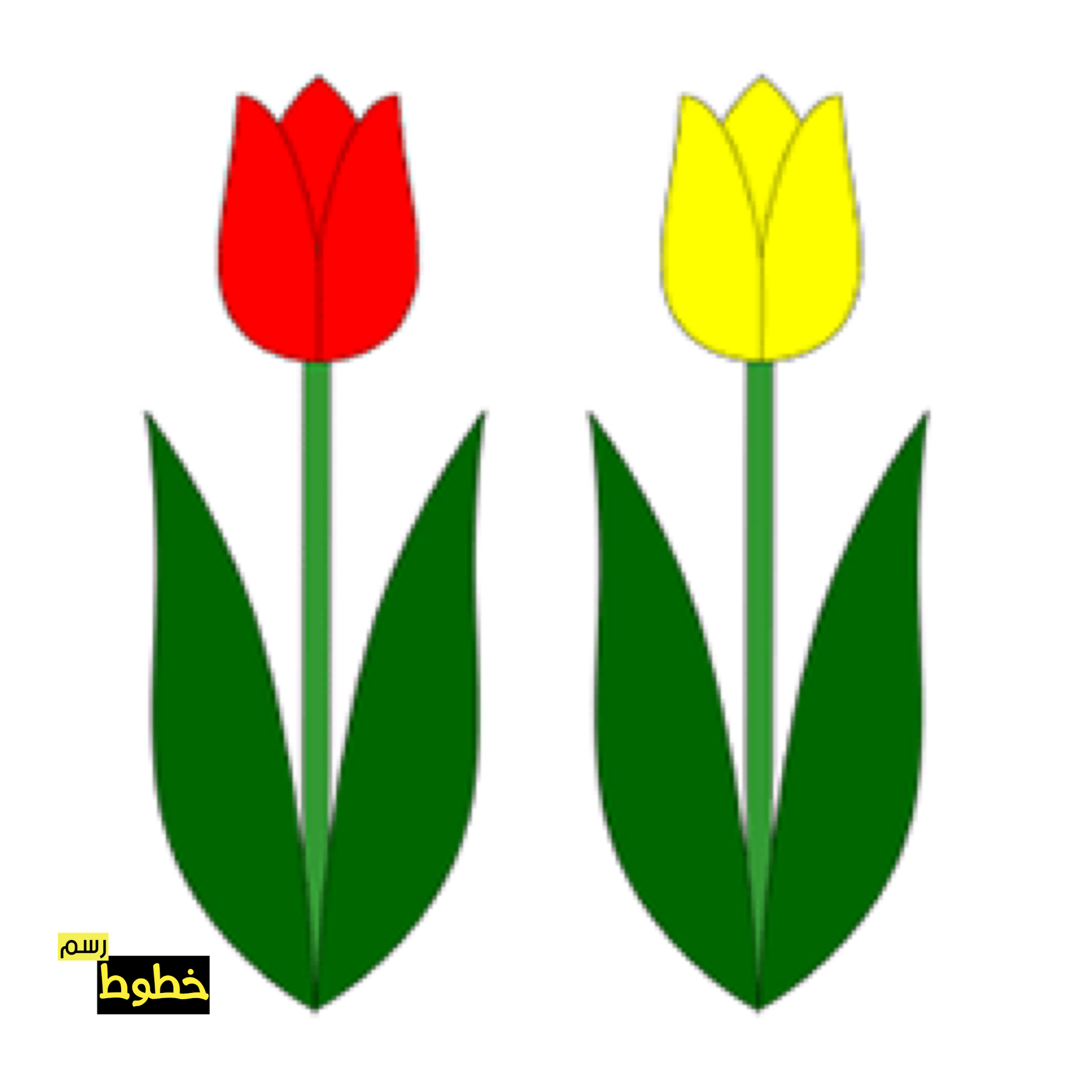 زهرة التوليب السوداء - KibrisPDR