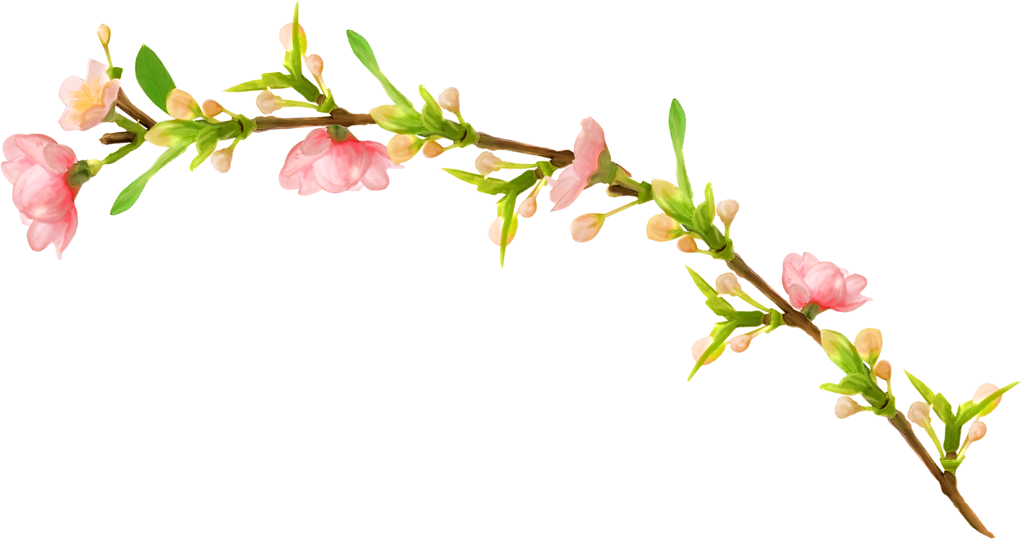 4 رقم مجموعة الصور