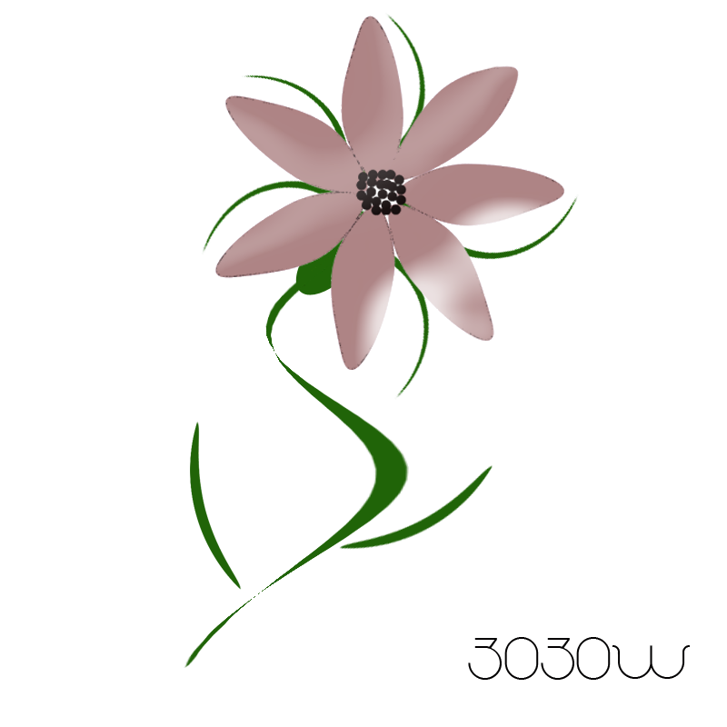 12 رقم مجموعة الصور