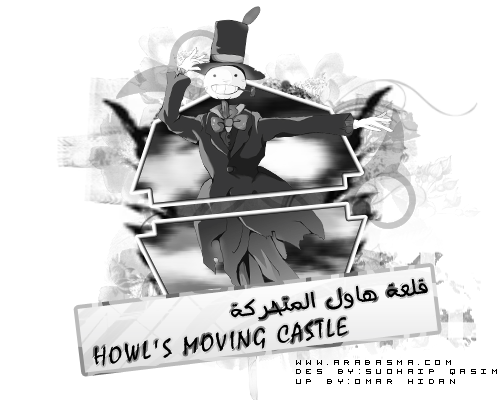 7 رقم مجموعة الصور
