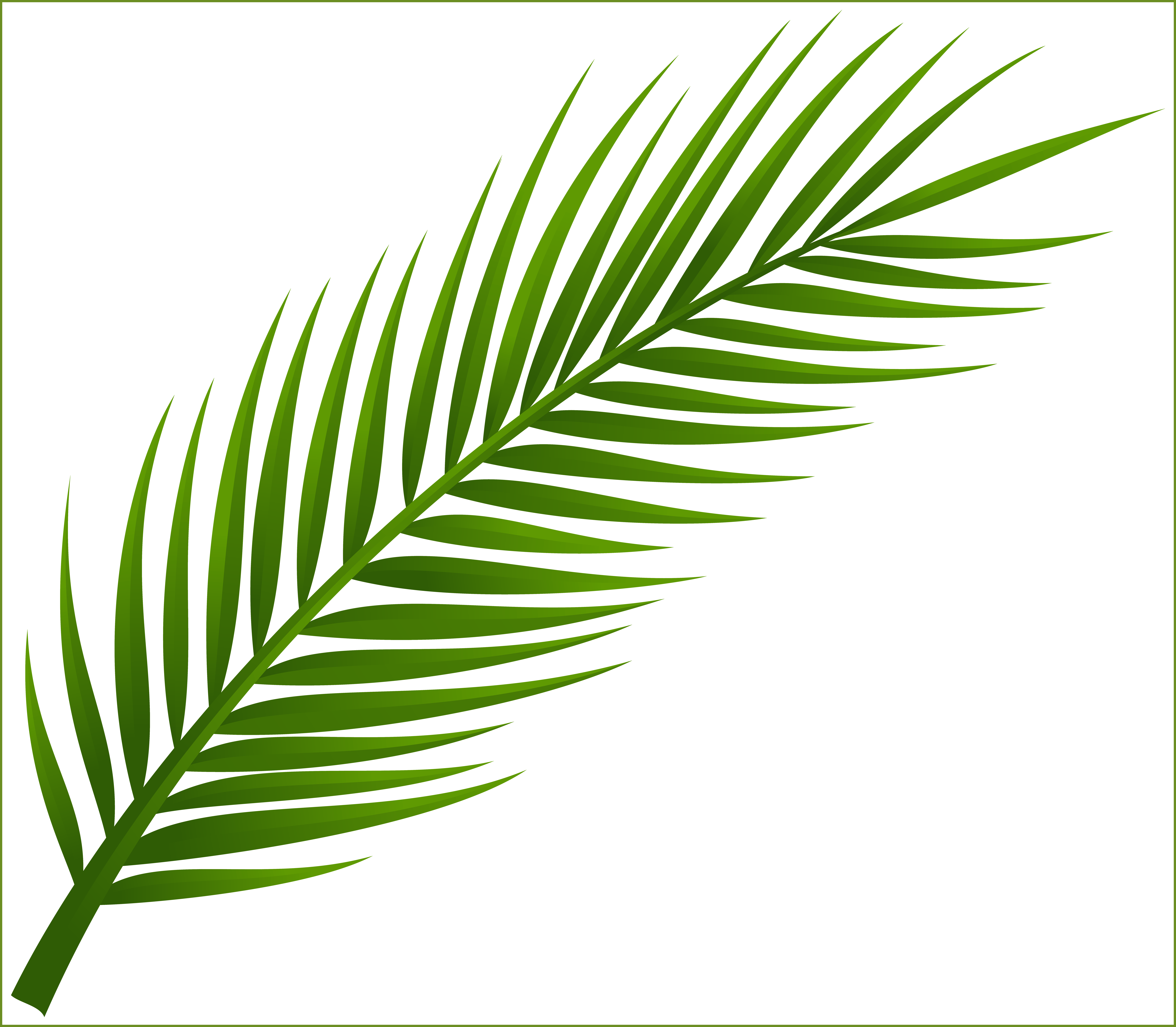 8 رقم مجموعة الصور