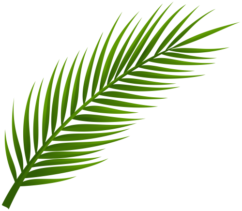 3 رقم مجموعة الصور