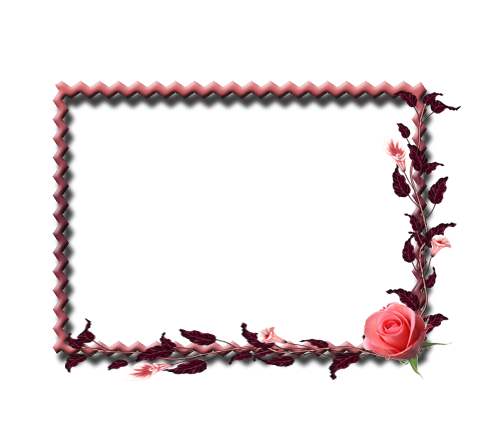 6 رقم مجموعة الصور