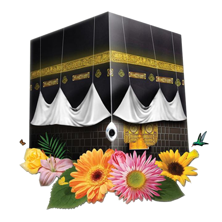 7 رقم مجموعة الصور