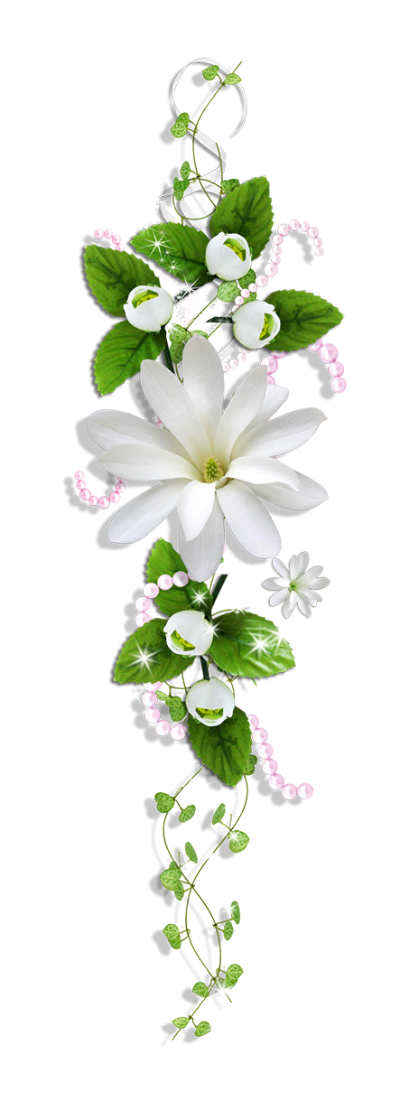 4 رقم مجموعة الصور