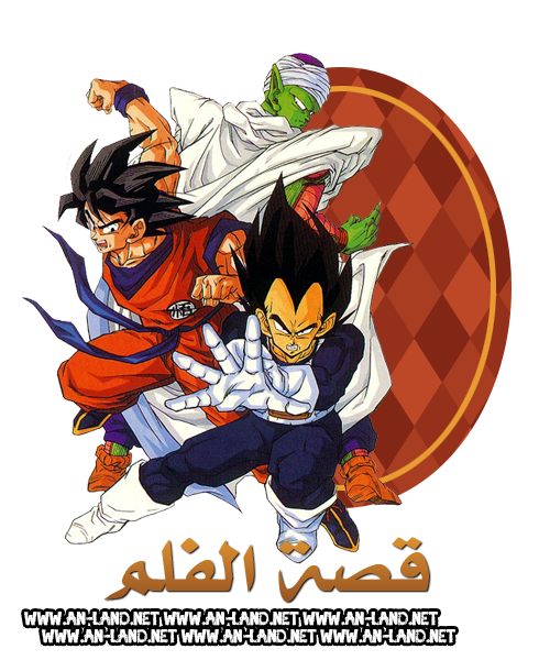 8 رقم مجموعة الصور