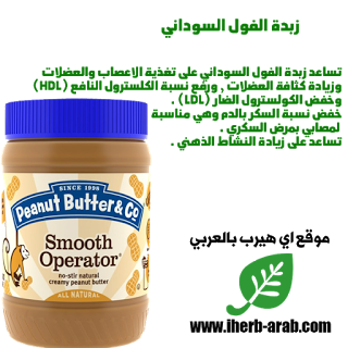 سلطة الفول السوداني - KibrisPDR