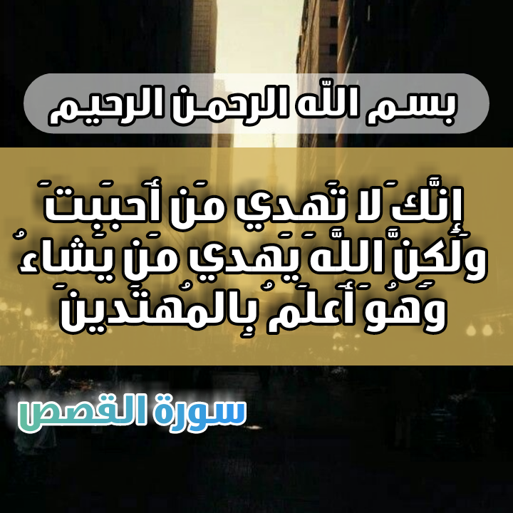 15 رقم مجموعة الصور