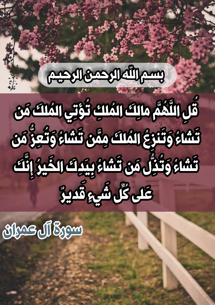 10 رقم مجموعة الصور