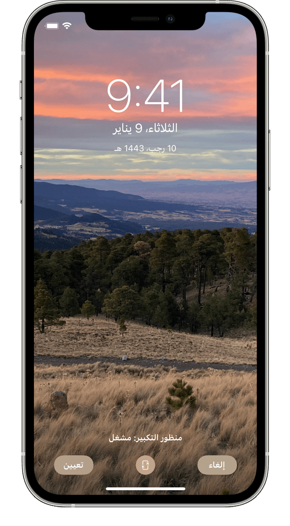 17 رقم مجموعة الصور