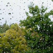 7 رقم مجموعة الصور