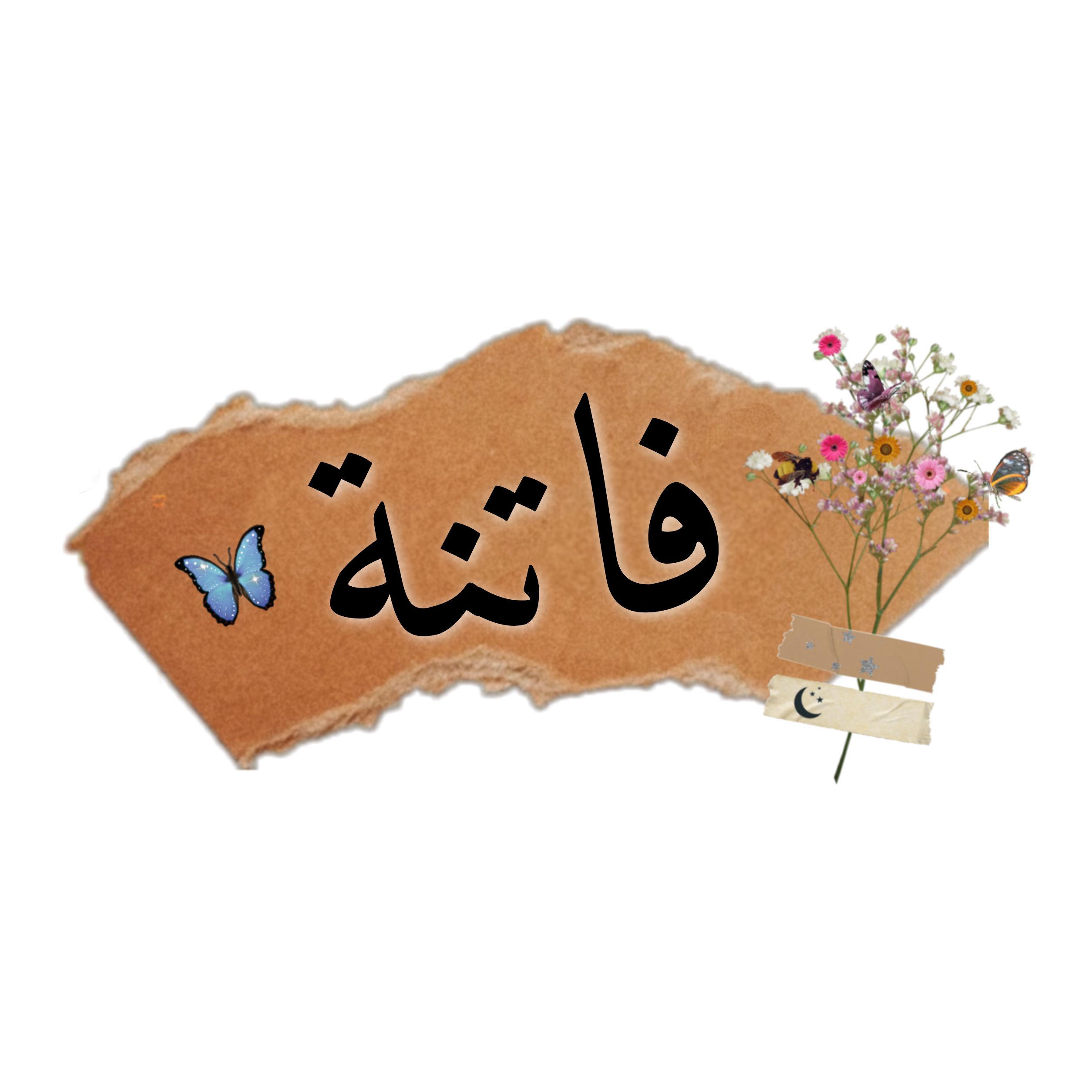 16 رقم مجموعة الصور