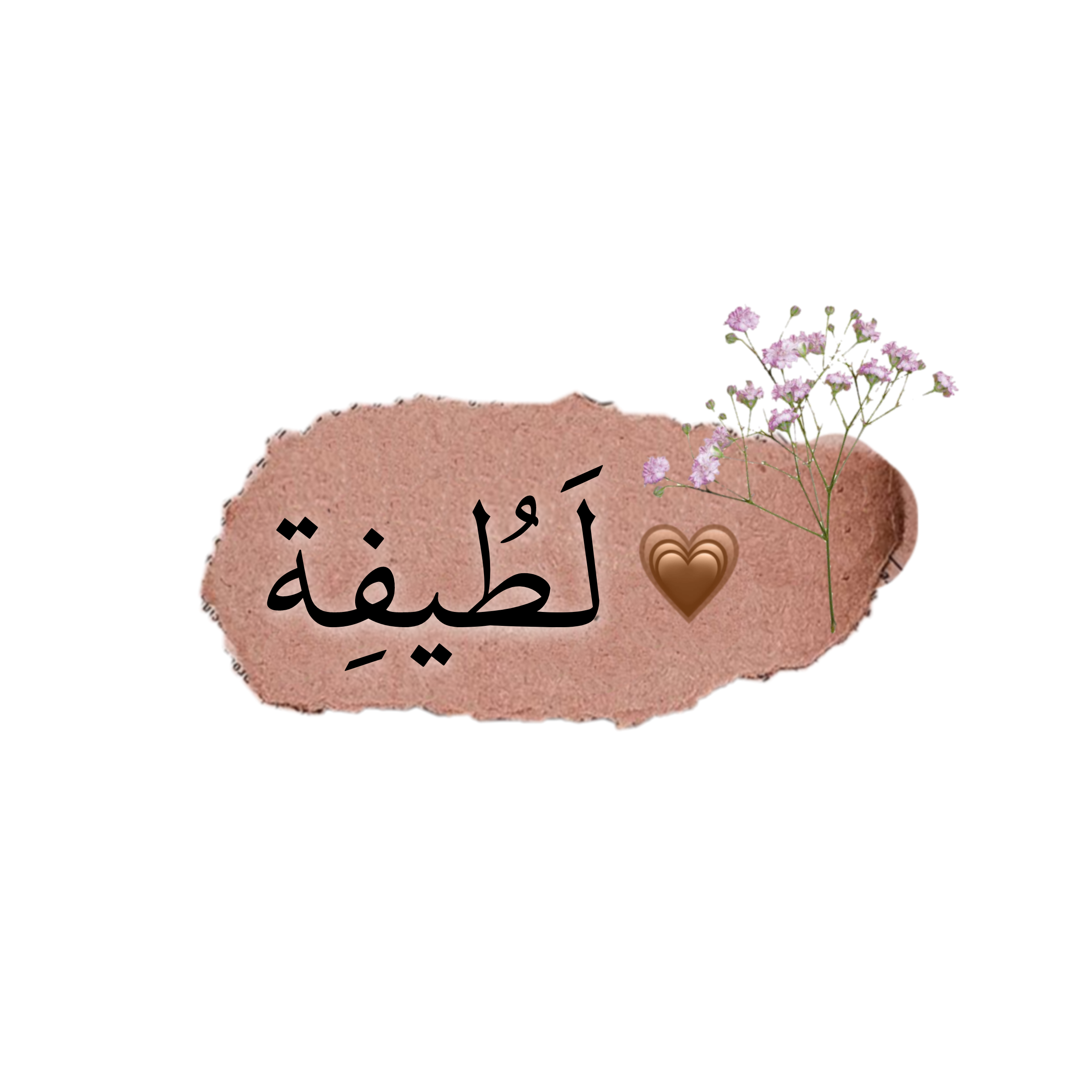 3 رقم مجموعة الصور