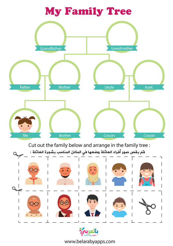 3 رقم مجموعة الصور