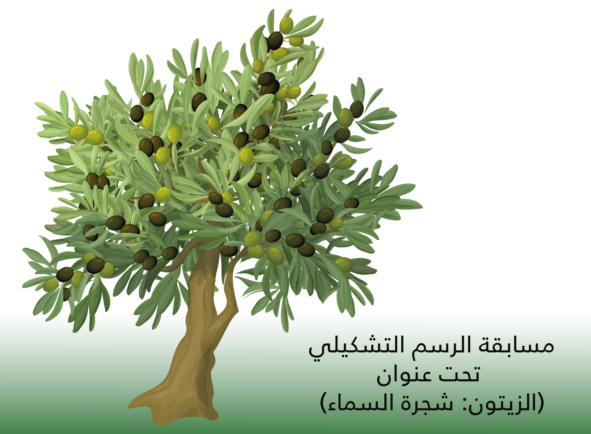 9 رقم مجموعة الصور