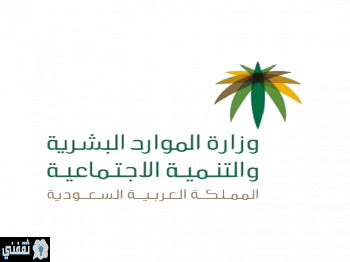 8 رقم مجموعة الصور