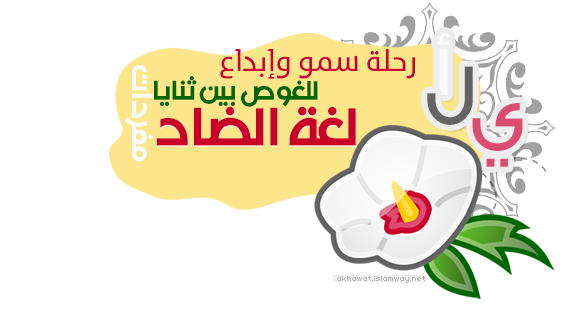 9 رقم مجموعة الصور