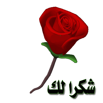5 رقم مجموعة الصور