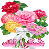 7 رقم مجموعة الصور