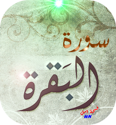 8 رقم مجموعة الصور