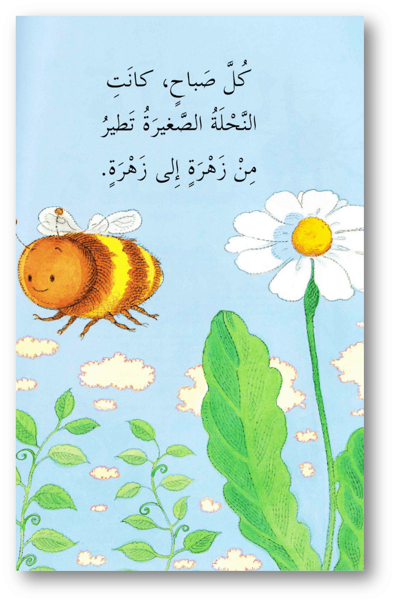 15 رقم مجموعة الصور